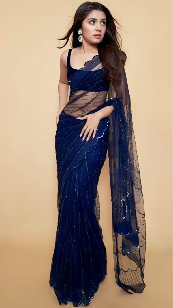 Sheer Embellished Saree
