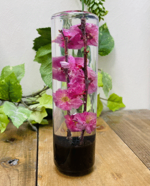 Preserved Pink Flowers in Clear Glass Cylinder