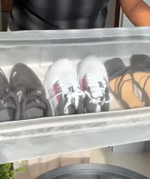 Transparent Shoe Storage Bag with Zipper Closure