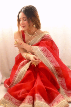 Regal Red Banarasi Silk Saree with Intricate Gold Zari Border