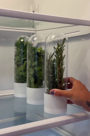 Herb Keeper Storage Pods – Fresh Herb Saver Containers for Fridge